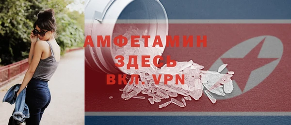 шишки Бородино
