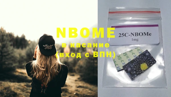 шишки Бородино