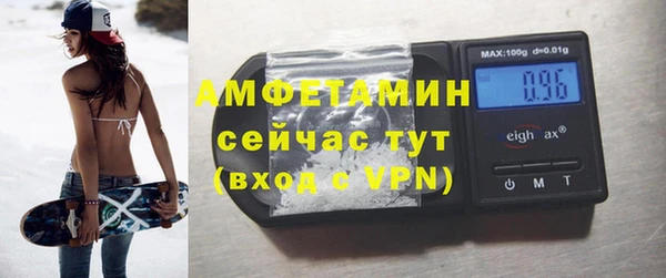 шишки Бородино