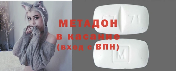 шишки Бородино