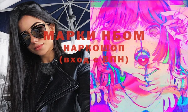 шишки Бородино