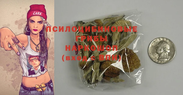 шишки Бородино