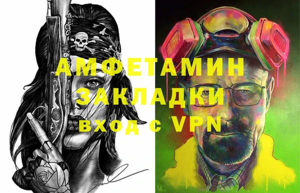 шишки Бородино
