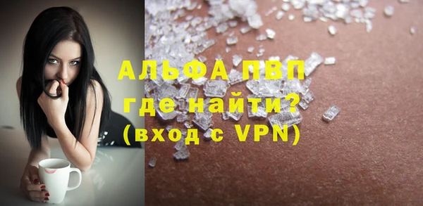 шишки Бородино