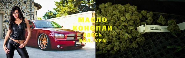 шишки Бородино